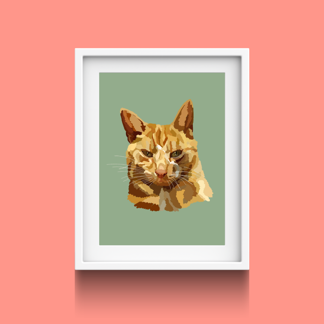 The print collection